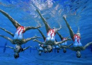 为什么越来越多人选择milan米兰